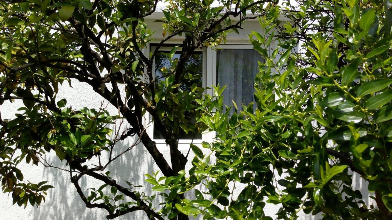 Apartmán Tea Kotor Exteriér fotografie