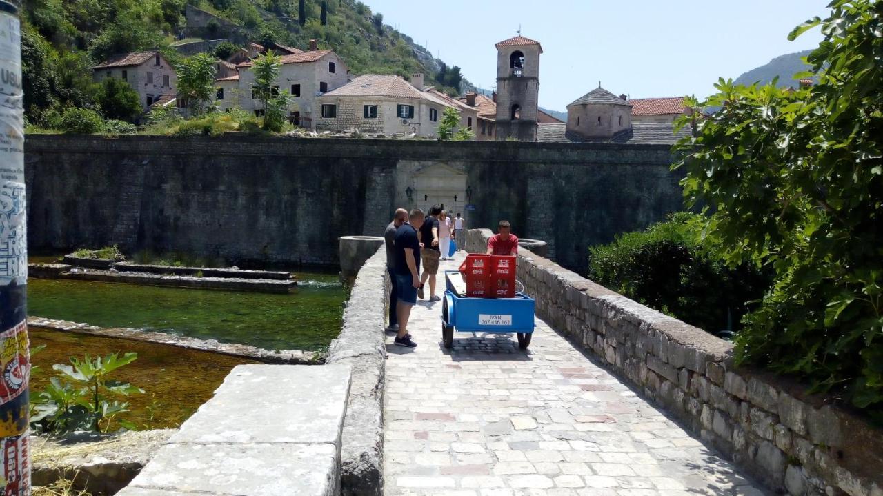 Apartmán Tea Kotor Exteriér fotografie