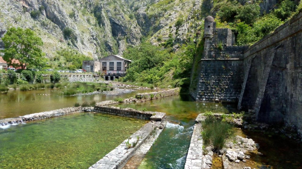 Apartmán Tea Kotor Exteriér fotografie